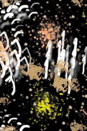 字母印花华亿平台图片