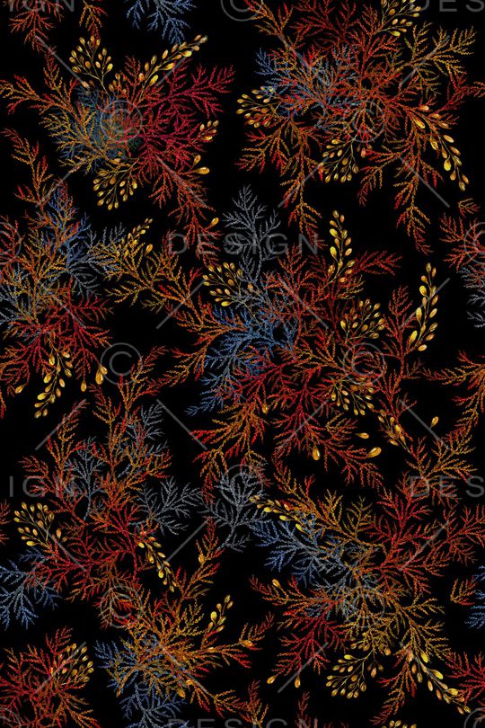 女装印花华亿平台图片