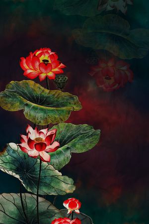 女装定位花印花华亿平台图片