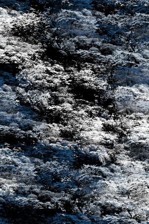 字母印花华亿平台图片