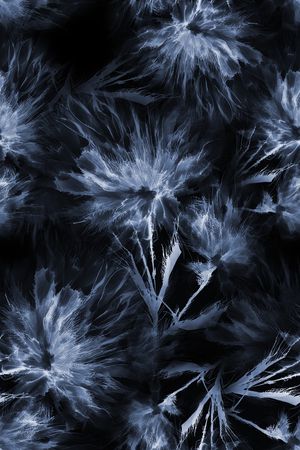 字母印花华亿平台图片