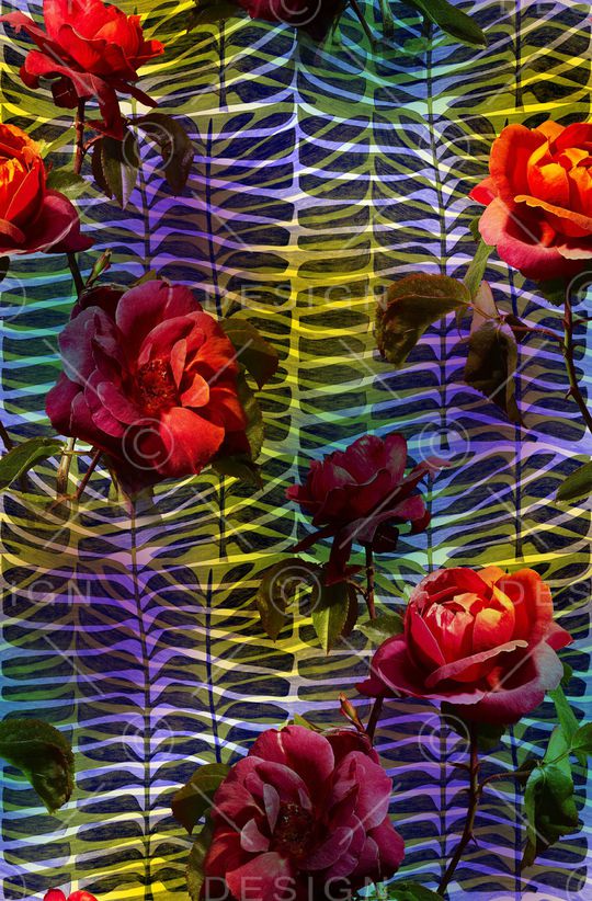 年轻女性印花华亿平台图片