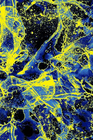 炫彩印花华亿平台图片