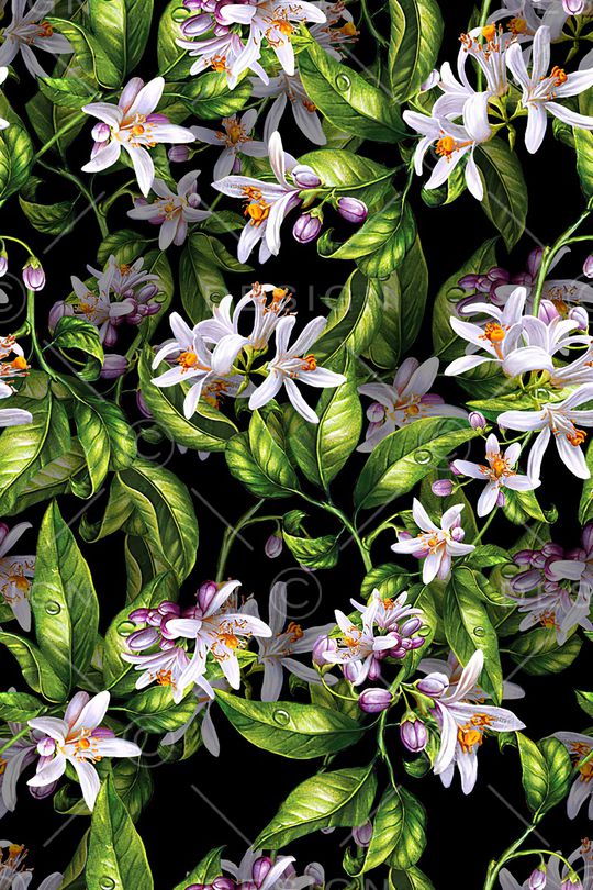 绿植树叶印花华亿平台图片