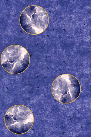 圆形印花华亿平台图片