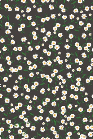 连衣裙印花华亿平台图片