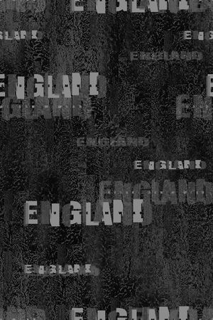 字母印花华亿平台图片