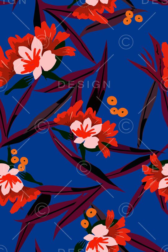 女装印花华亿平台图片