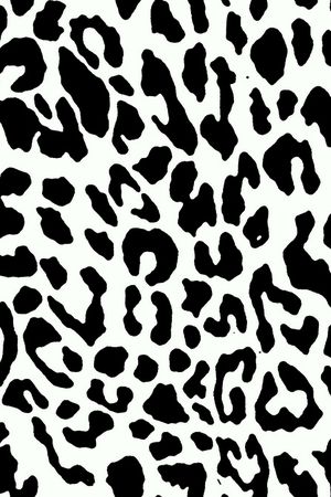 豹纹印花华亿平台图片