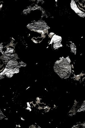 黑白华亿平台印花华亿平台图片