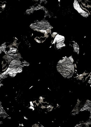 黑白华亿平台印花华亿平台图片