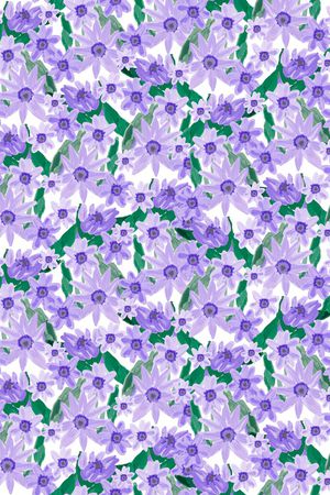 小清新印花华亿平台图片