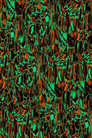 复古印花华亿平台图片