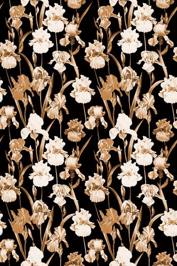 1430264-yc20210616黑