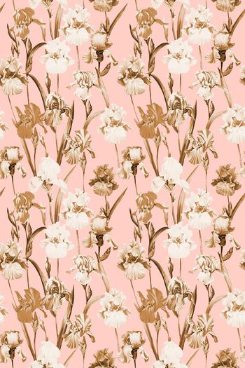 1430268-yc20210616浅