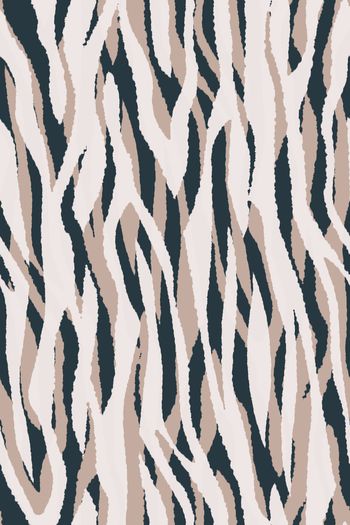 1430486-斑马纹04c