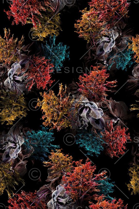 女装印花华亿平台图片