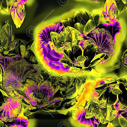 荷花印花华亿平台图片