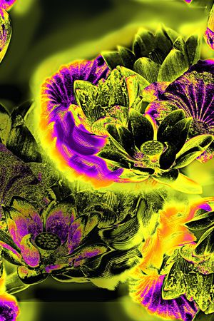 荷花印花华亿平台图片