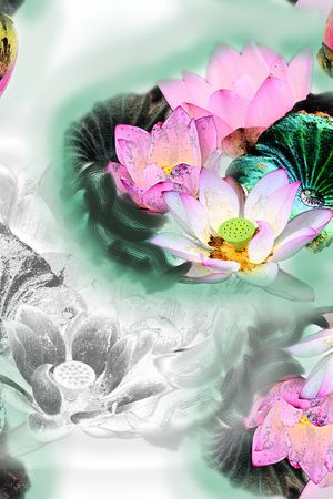 荷花印花华亿平台图片