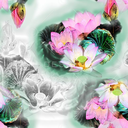 荷花印花华亿平台图片