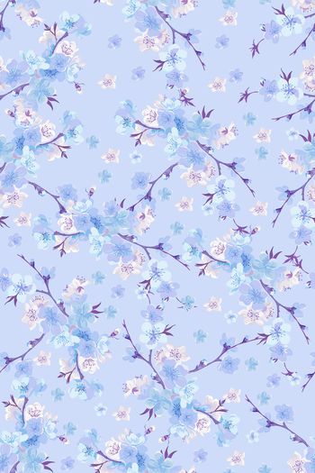 1430919-花卉20029-2