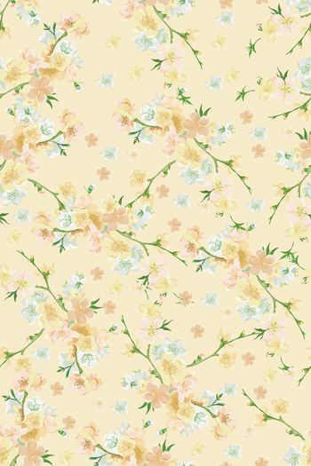 1430921-花卉20029-4