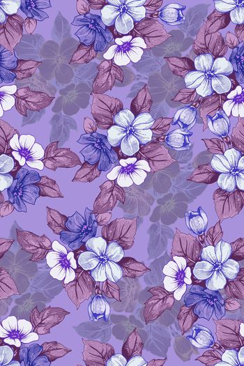 1430923-花卉20030-3