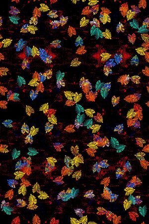 女装印花华亿平台图片