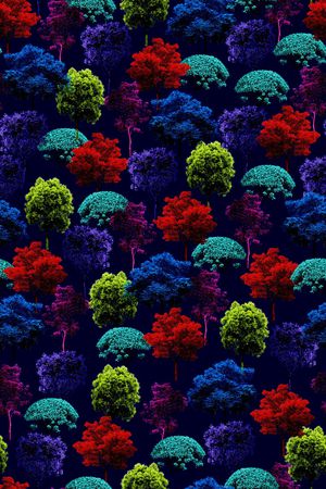 女装印花华亿平台图片