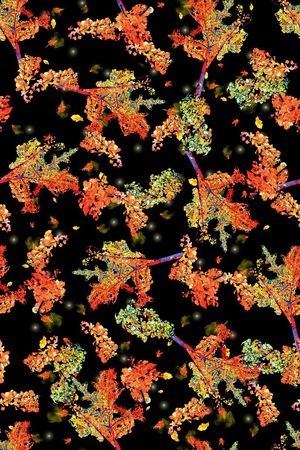 女装印花华亿平台图片