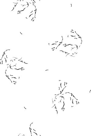 简约印花华亿平台图片