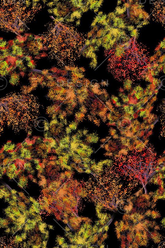 女装印花华亿平台图片