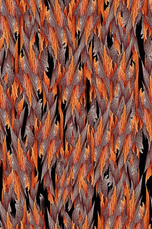 男装印花华亿平台图片