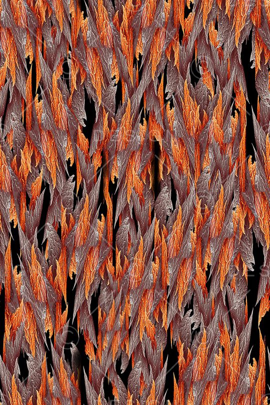 男装印花华亿平台图片