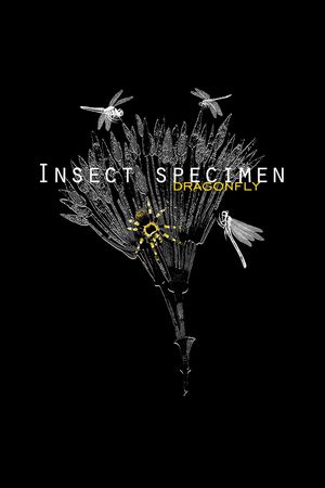 字母印花华亿平台图片