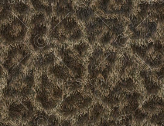 女装印花华亿平台图片