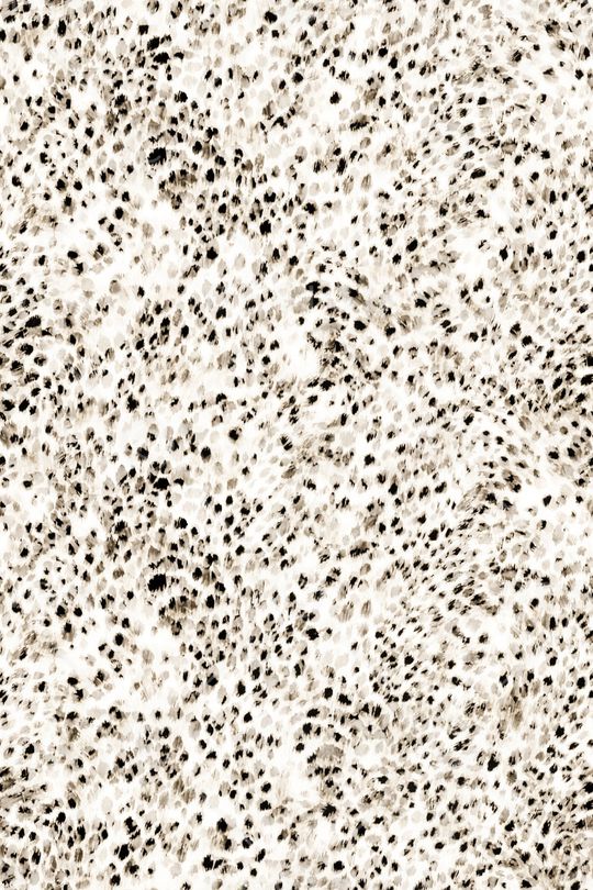 豹纹印花华亿平台图片