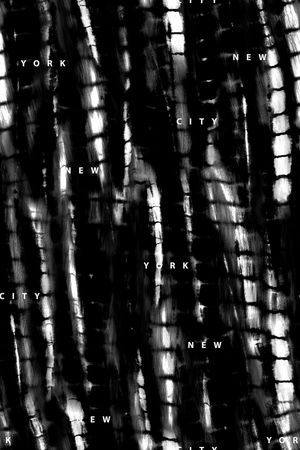 字母印花华亿平台图片