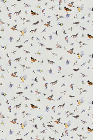 鸟印花华亿平台图片