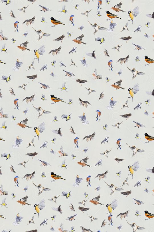 鸟印花华亿平台图片