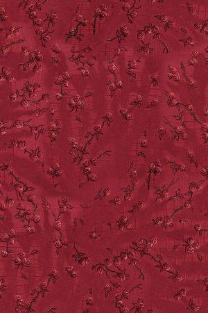 女装印花华亿平台图片