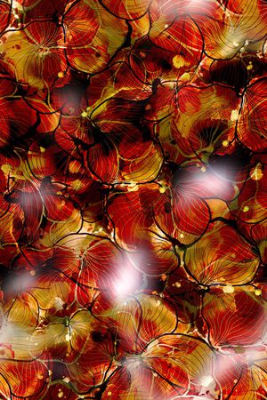 炫彩印花华亿平台图片