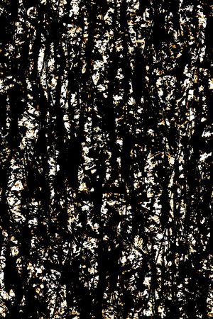 纹理印花华亿平台图片