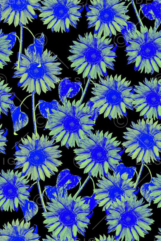 向日葵印花华亿平台图片