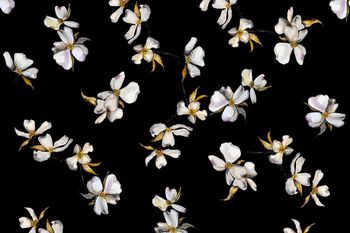 唐装印花华亿平台图片