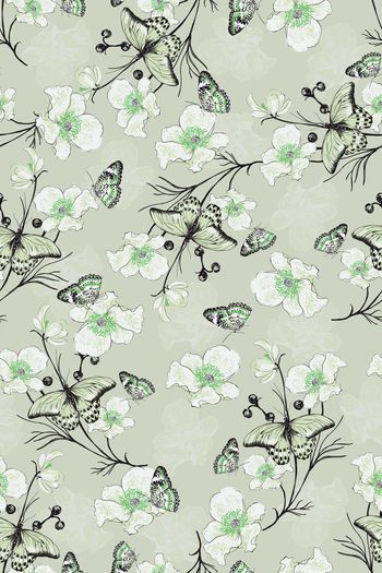 1432420-花卉20032-3