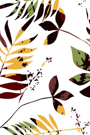 大牌风印花华亿平台图片