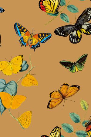 蝴蝶印花华亿平台图片