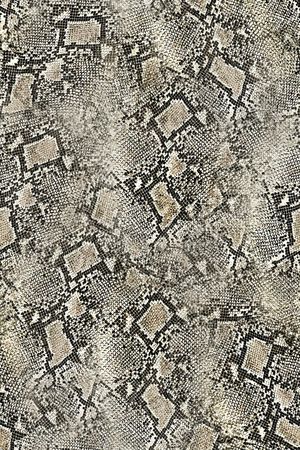 蛇纹印花华亿平台图片